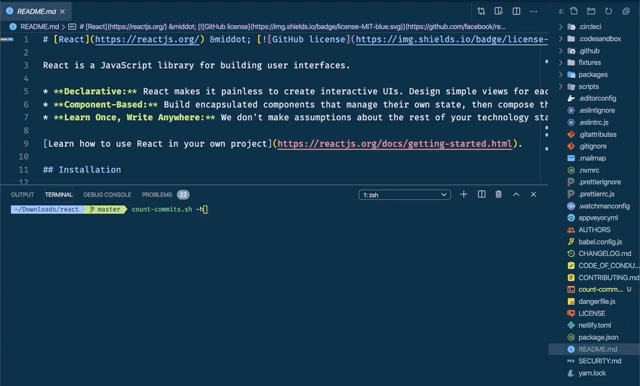 Count Commits Demo
